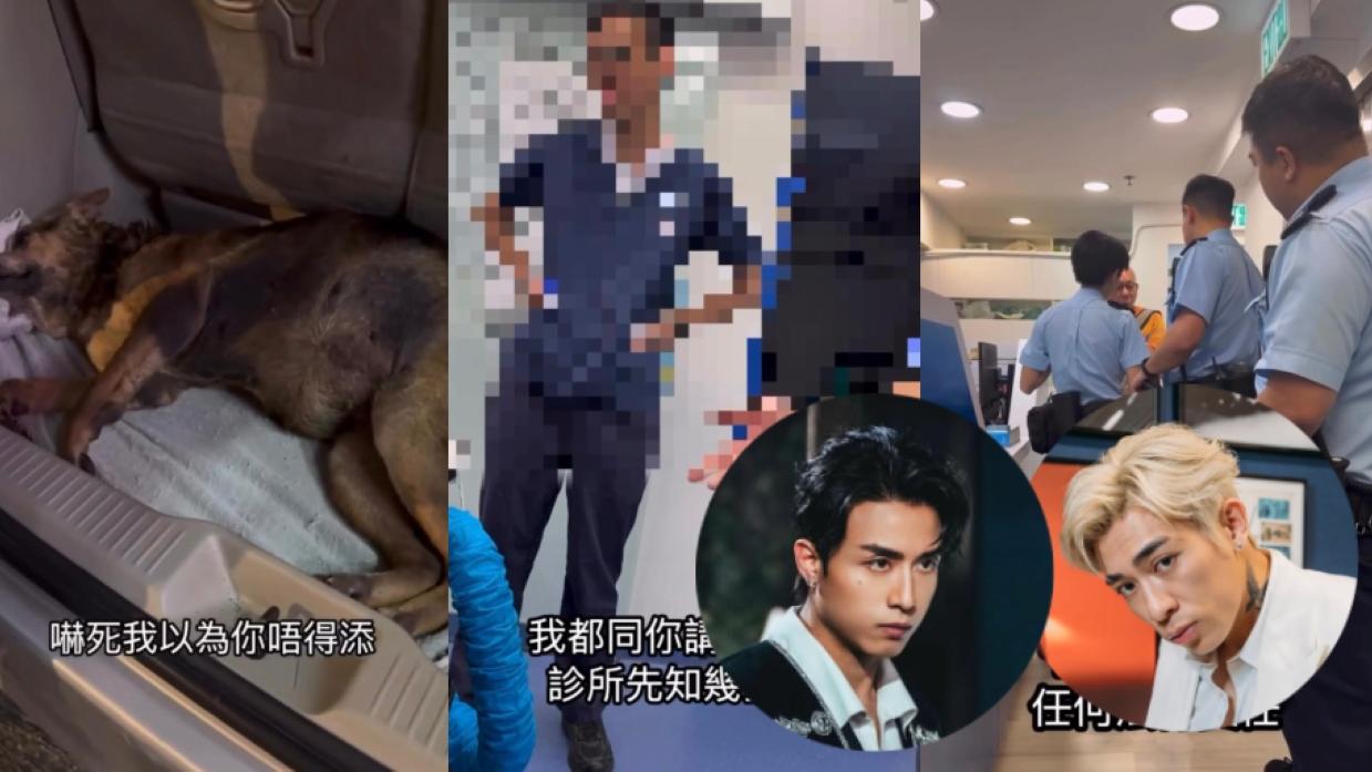 毛孩被冷血無情主人棄救惹網民關注　AK、Tyson Yoshi齊發聲