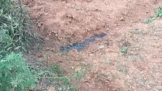 事發現場仍留一灘血跡。（圖/翻攝《鳳凰網》）