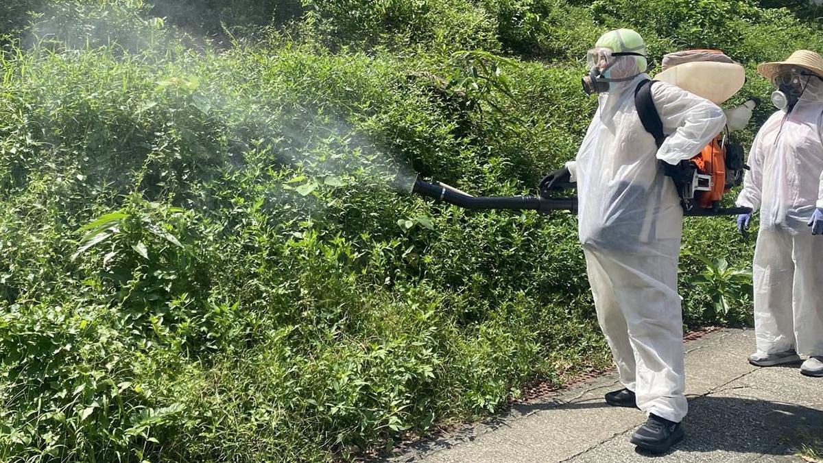 政府近日加強控蚊滅蚊工作。(資料圖片／政府新聞處)