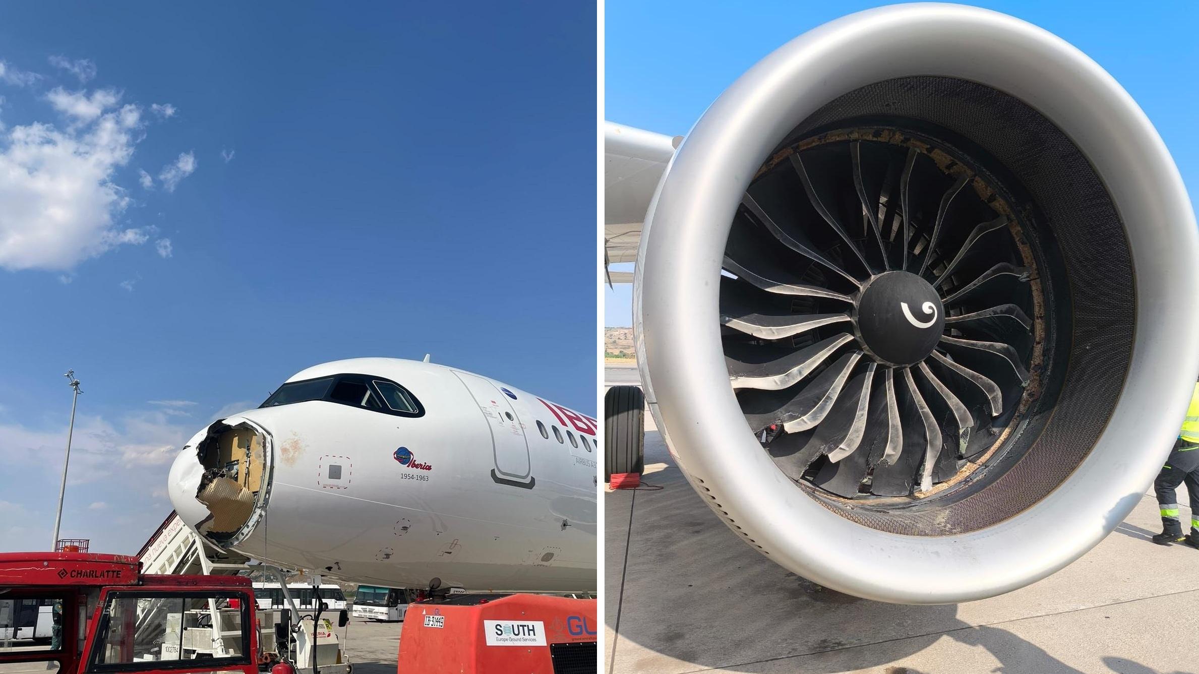 客機遭大鳥撞毀機頭，引擎吸入野鳥，同樣損毀。(互聯網)