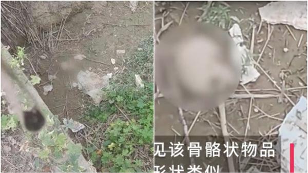山東婦帶孩子慢跑，在溝渠驚見「頭骨」。（圖／翻攝大風新聞）