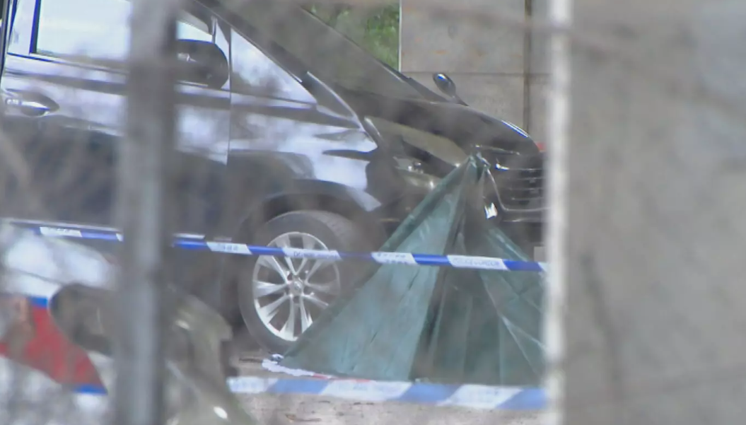 屯門亦園路謀殺案，一名51歲本地男子被發現倒斃橋底，後腦有刀傷(有線新聞截圖)