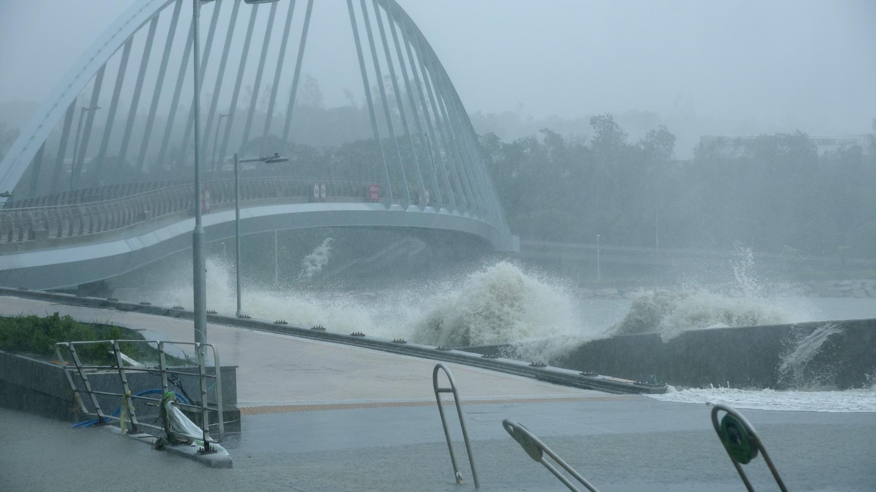 颱風、經濟及其他隨想