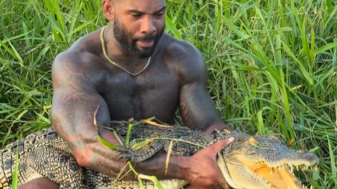 美國男子與鱷魚的搏鬥。(影片截圖)