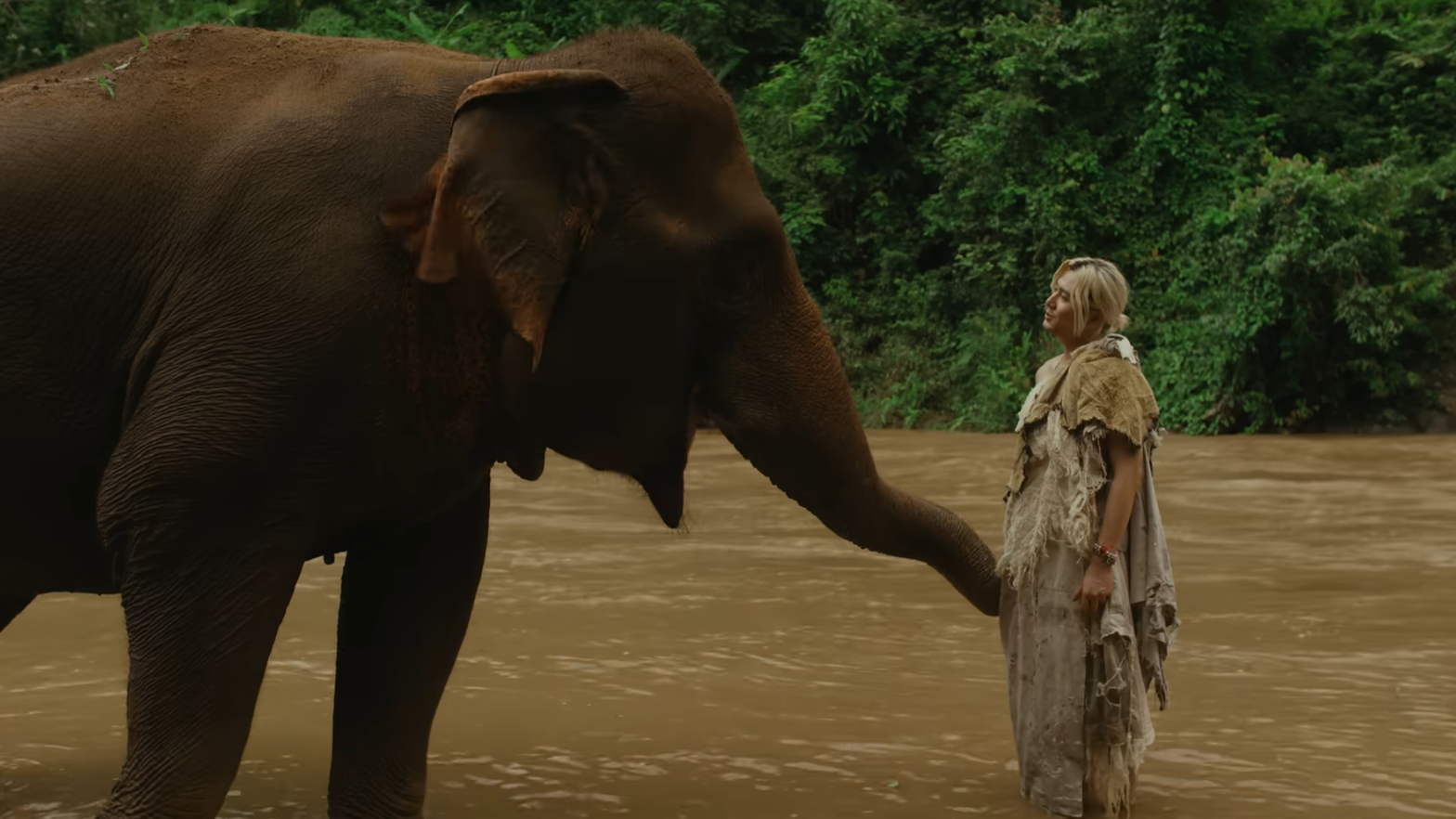 藤井風全球串流播放逾22億 為英語專輯《Prema》主打歌到泰國大象保護區拍MV