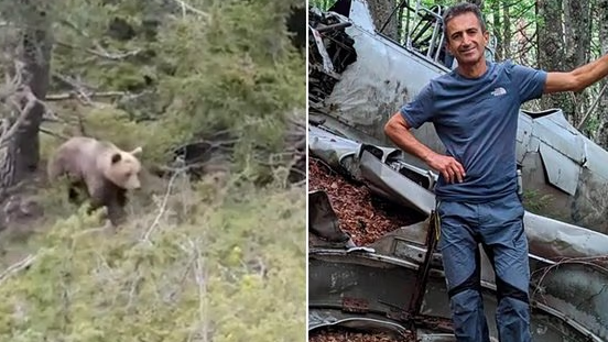 61歲男行山遇熊襲擊墮山亡 生前最後49秒驚悚片段曝光 驅熊噴霧終無效(有片)