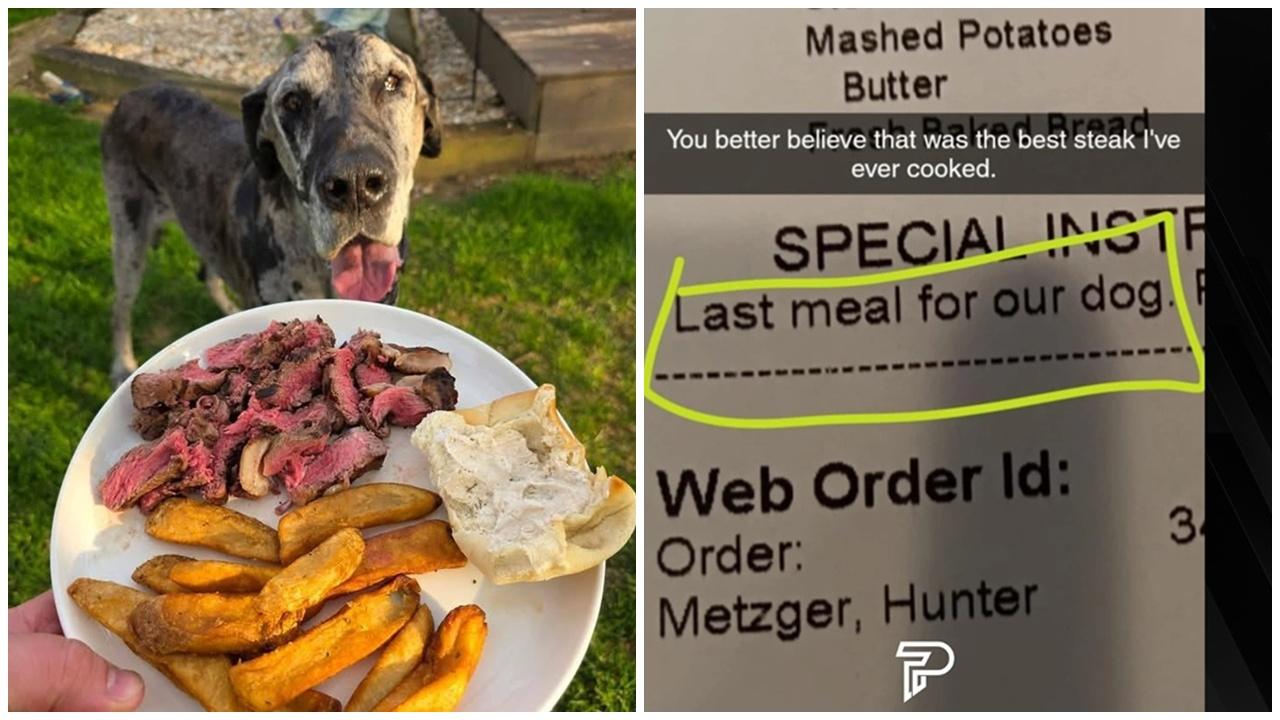 主人訂單備註「給愛犬最後一餐」，餐廳一舉動讓網民淚崩。(IG)