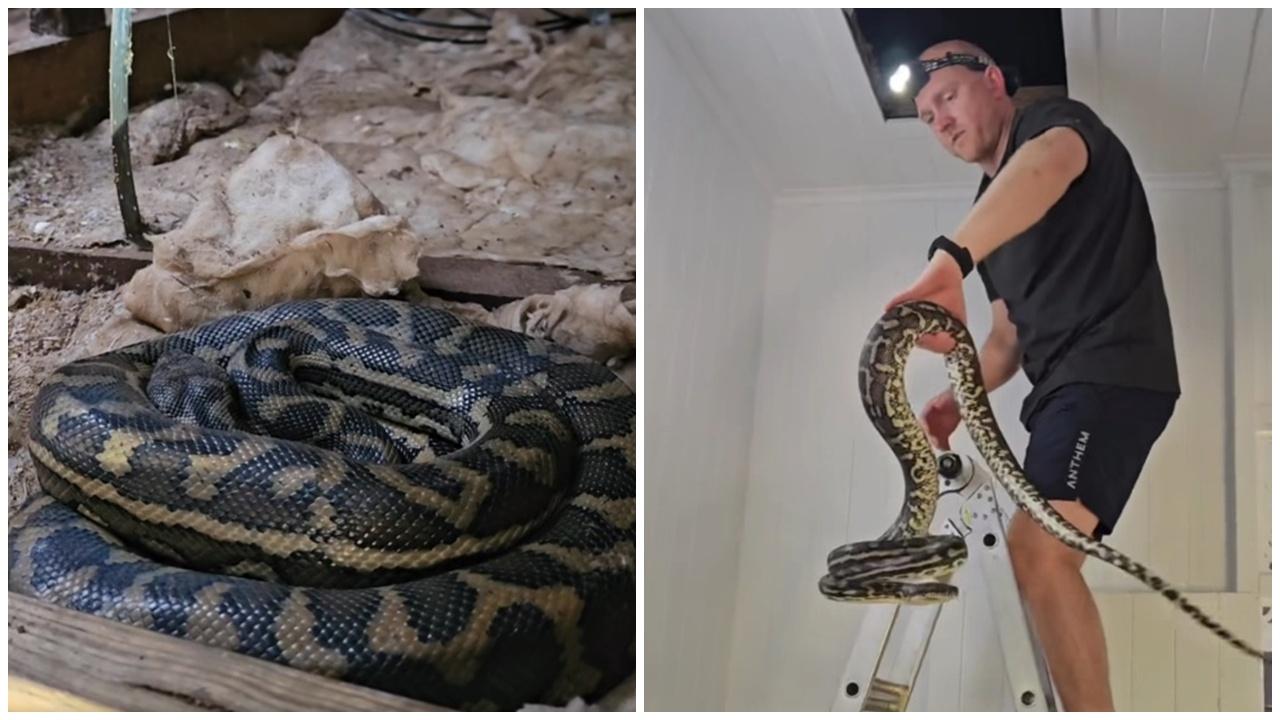 躺床上被天花液體滴面，揭開驚見3巨蟒痾尿。(FB)