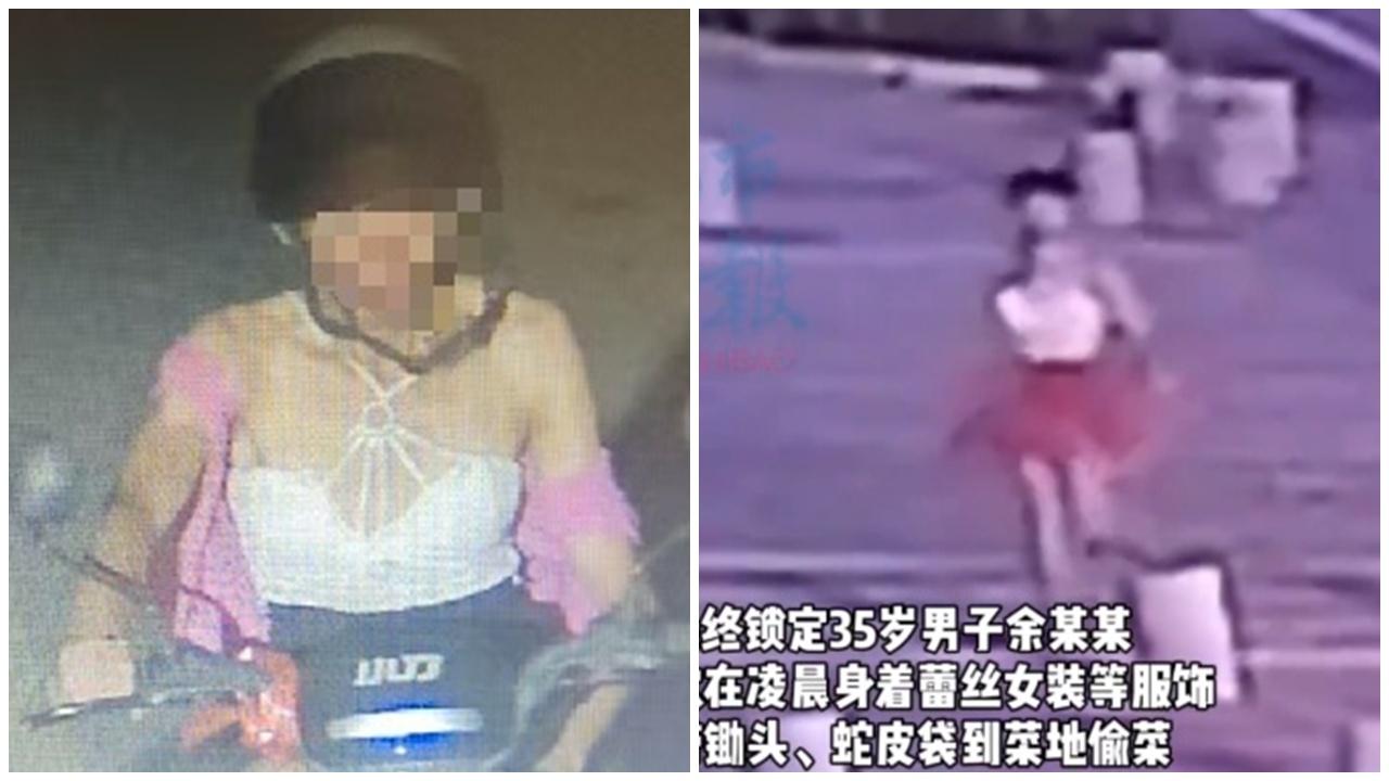 江西男夜穿低胸短裙，狂偷190公斤蔬菜被捕。(微博)