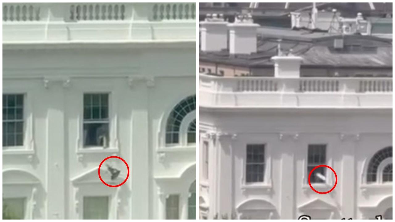 白宮2樓丟出不明物，影片瘋傳網民狂揣測。(X)