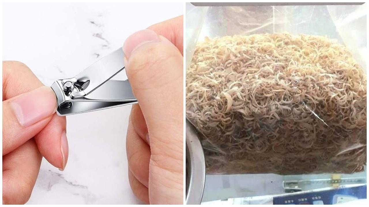 指甲有價有巿？河北女儲全家指甲多年出售，1斤回收價震驚網民。