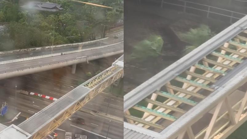 颱風樺加沙｜龍翔道斧山道天橋頂蓋被風吹走。（Threads「szeman__w」圖片）
