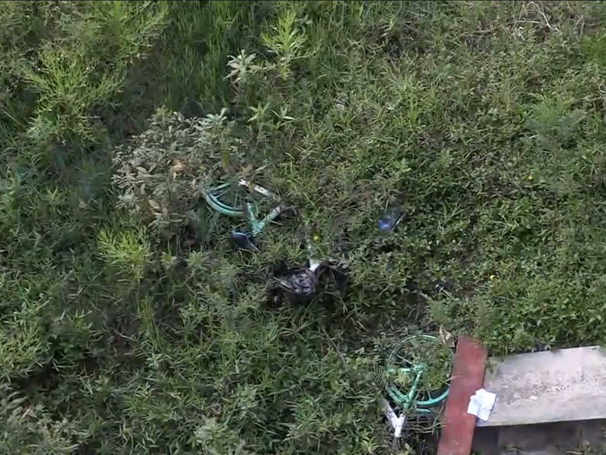 上水多部共享單車被抛落河邊草叢，職員報案。(now新聞截圖)