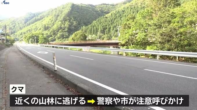 熊扮死突襲！？棕熊伏於馬路不動疑死去 男子上前搬走遭咬手腳