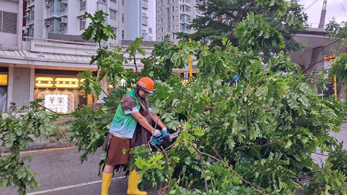 樺加沙襲港致多區有塌樹，風暴過後關愛隊紛出動協助清理，部分更用電鋸鋸樹。(御太關愛隊FB)