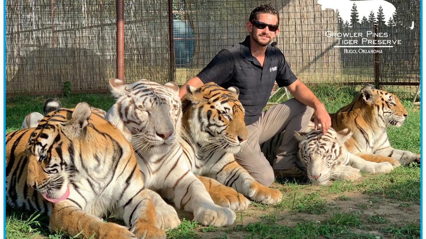 美馴獸師遭老虎活活咬死　外界籲終止表演