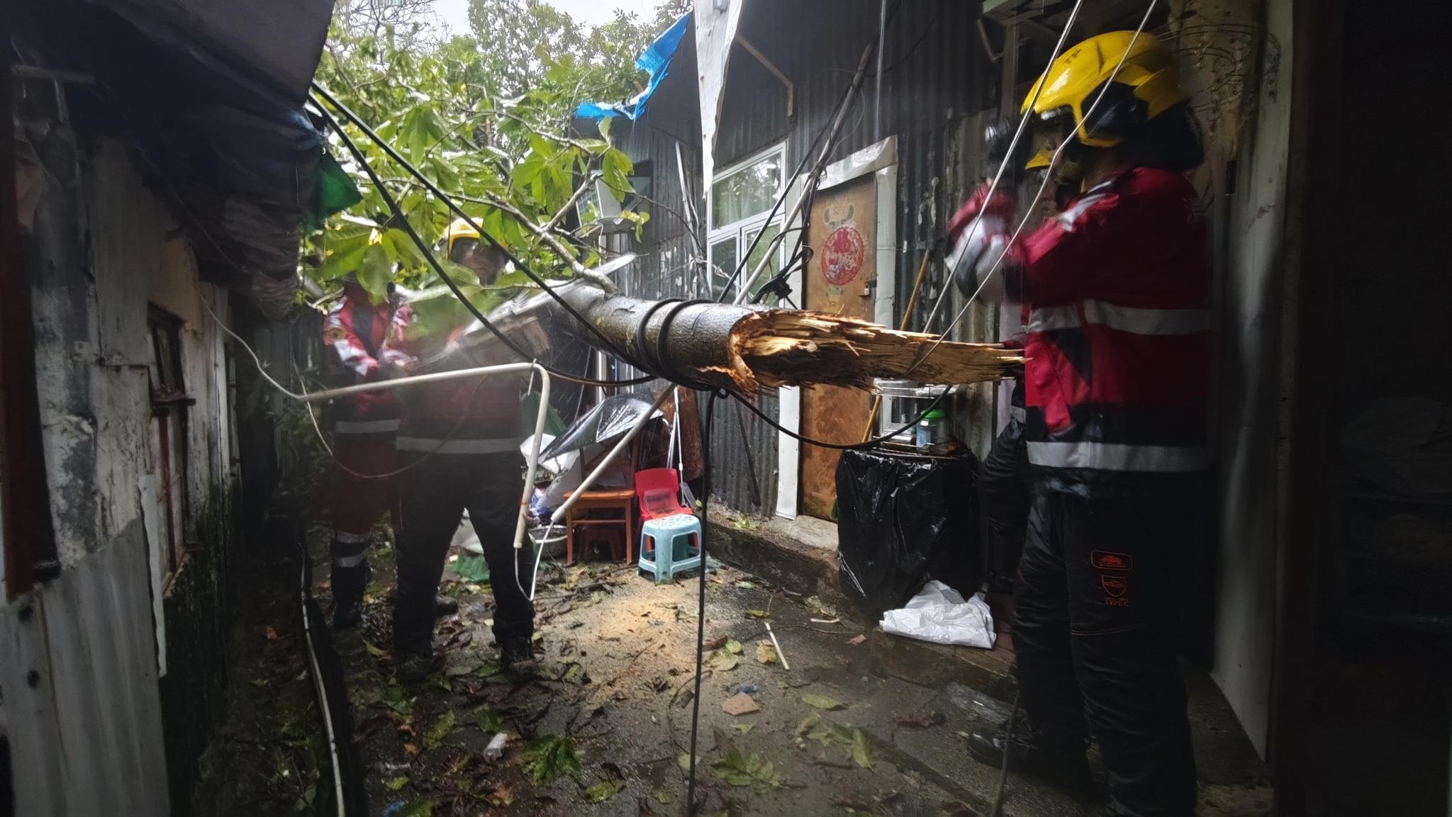 消防接130宗塌樹及90宗升降機事故報告，籲市民留在室內地方。(香港消防處Facebook)