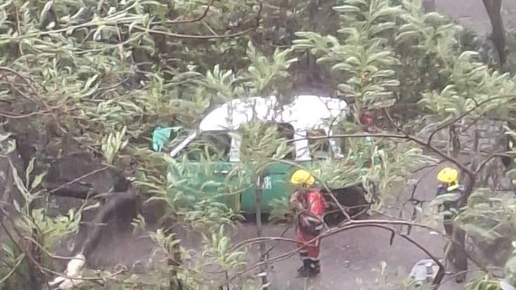 颱風樺加沙｜粉嶺載客的士被塌樹砸中車頭，司機疑一度被困。（fb「車cam L（香港群組）」圖片）