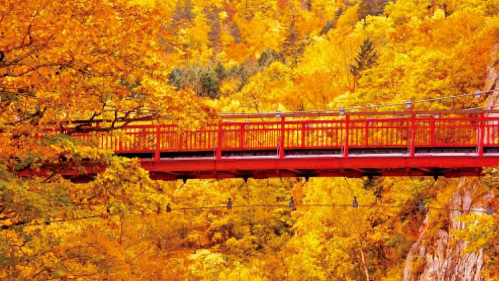 2025日韓加賞楓懶人包！楓葉最靚時間＋地點全公開 