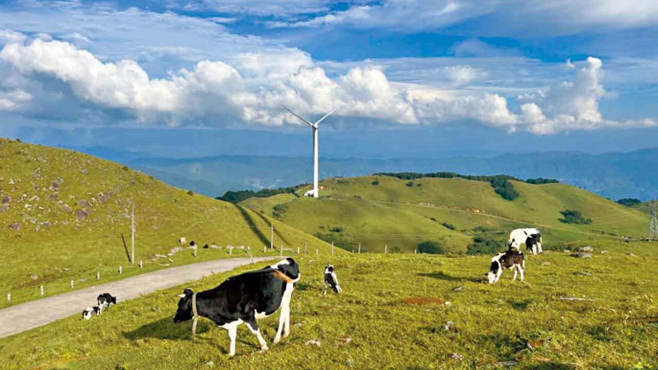 全包門票 世界級秘境經典巡禮 10人保證成團出發 如有購物全款退還 