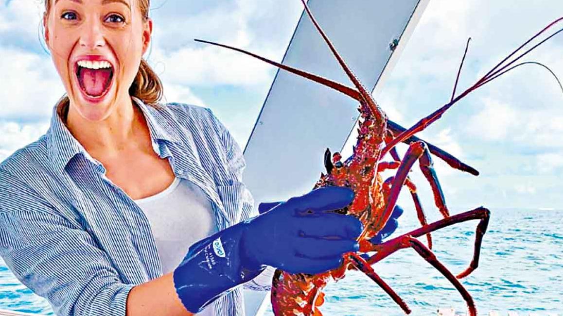 澳洲豪歎深度順序遊 11天 走進南半球歷史國度 品嘗即開即食新鮮生蠔