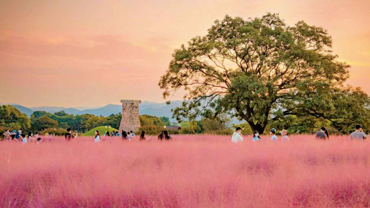 秋高氣爽！中秋釜山直航團 體驗韓劇同款「汗蒸幕」