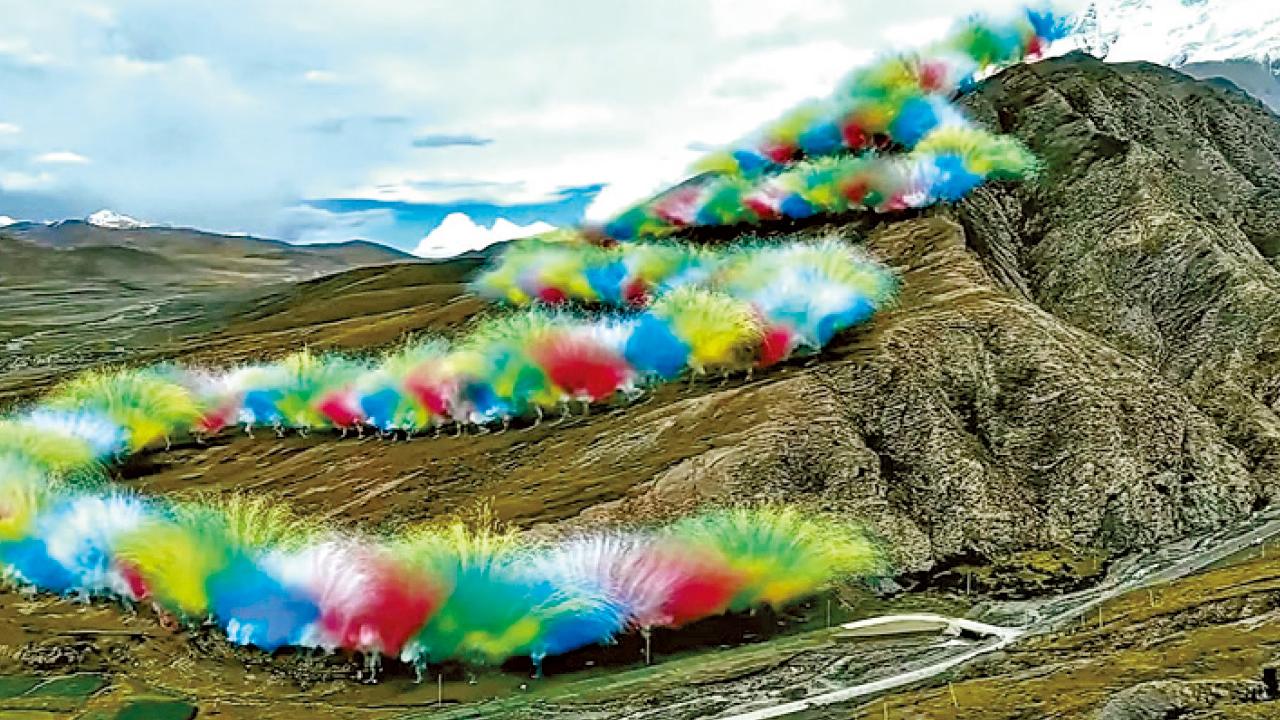 始祖鳥煙花事件引發爭議與反思