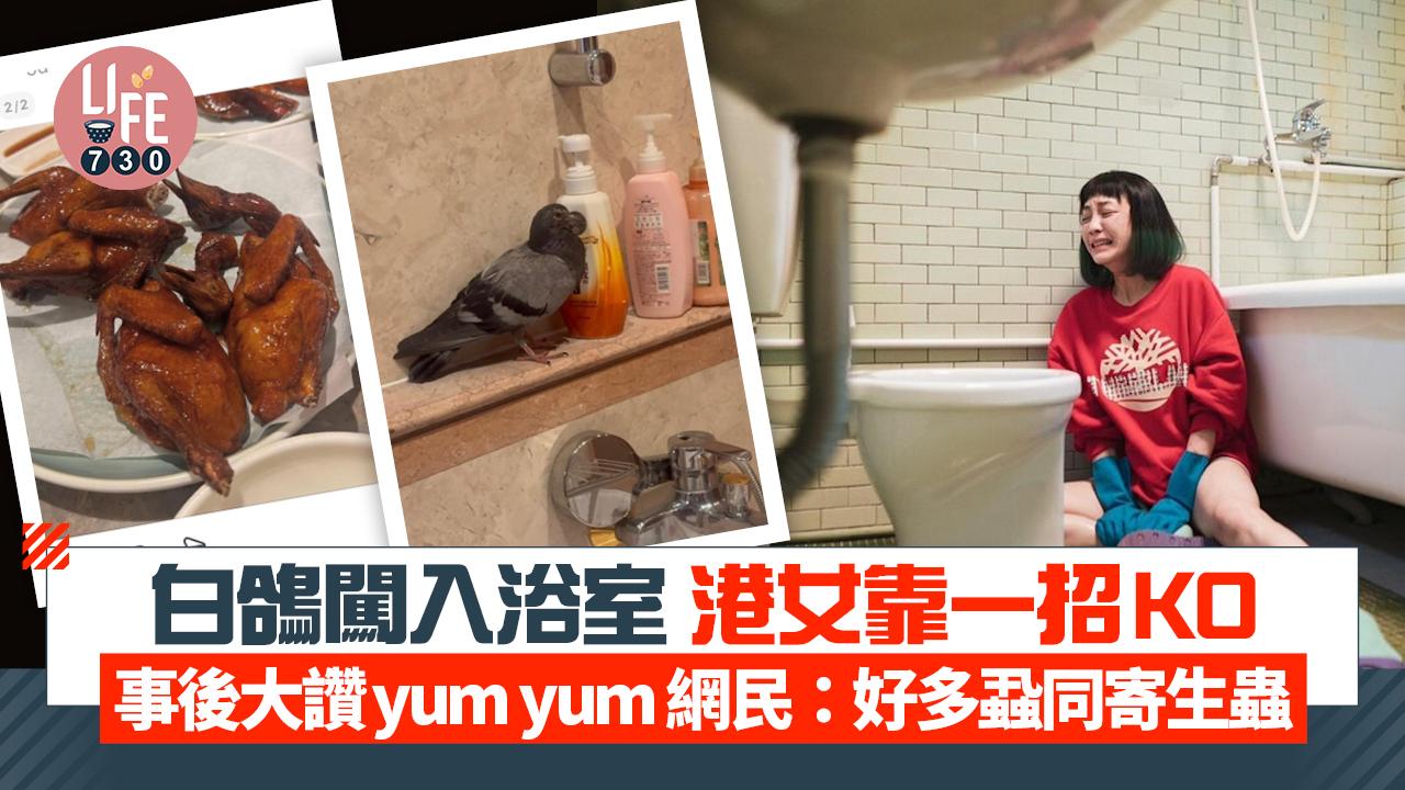 白鴿闖入浴室 港女靠一招KO 事後大讚yum yum 網民：好多蝨同寄生蟲