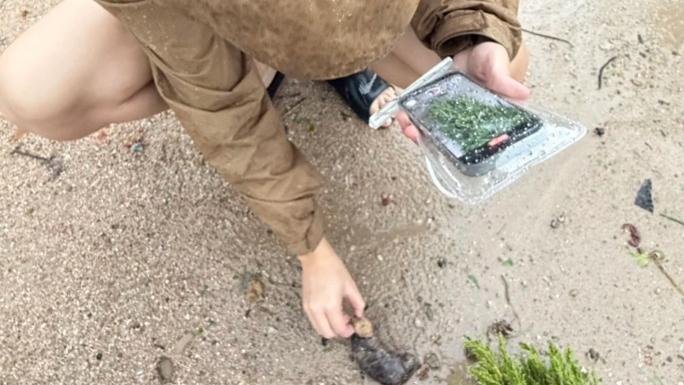 颱風樺加沙｜將軍澳海濱成「水產天堂」？小紅書男執生蠔海膽