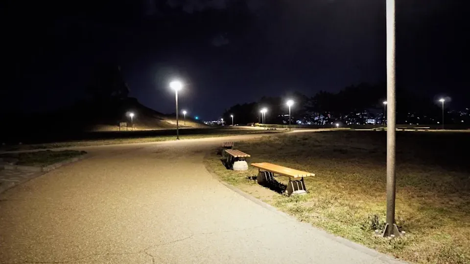 內地男聽信寶藏傳言　組織近20人假冒國安人員接管公園挖寶