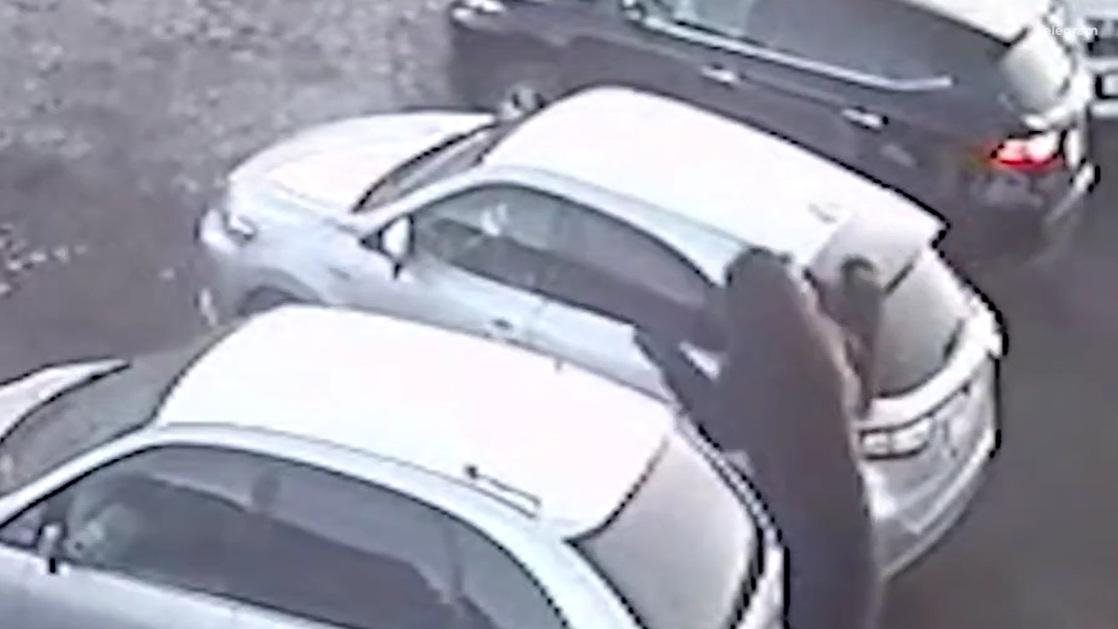 棕熊在停車場窮追男子，男子及時逃上車並關門，才逃過棕熊襲擊。(互聯網)