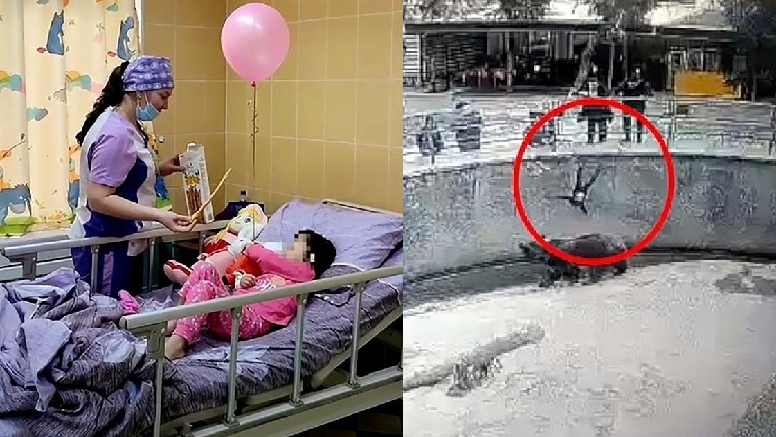 女童札琳娜2022年被母親抱起丟進動物園熊舍，嚴重摔傷，須留院逾3周。(互聯網)