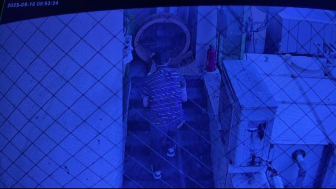 店家公開的閉路電視畫面顯示，男子把裝著小貓的發泡膠箱放在餐廳後門。(互聯網)