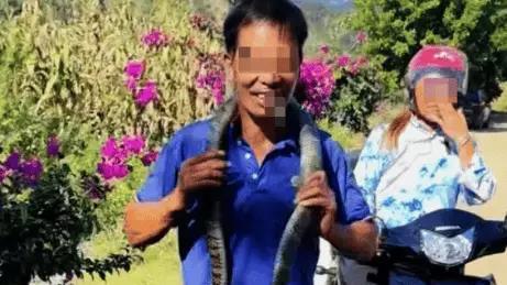眼鏡王蛇誤當無毒蛇掛頸拍片 貴州男被咬慘死。（網上圖片）