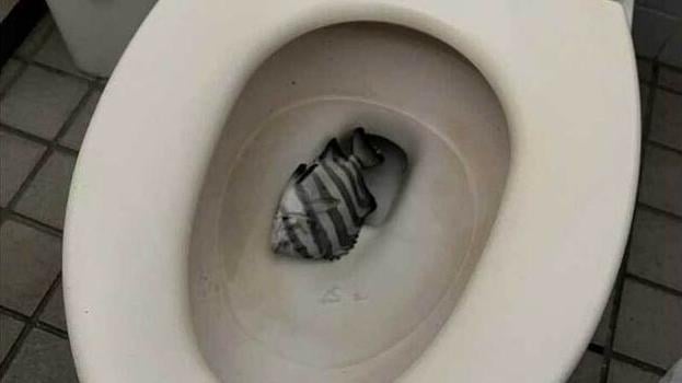 釣客當日拍到令人氣憤的畫面。(互聯網)