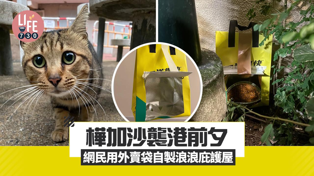 颱風樺加沙︱樺加沙襲港前夕 網民用外賣袋自製浪浪庇護屋