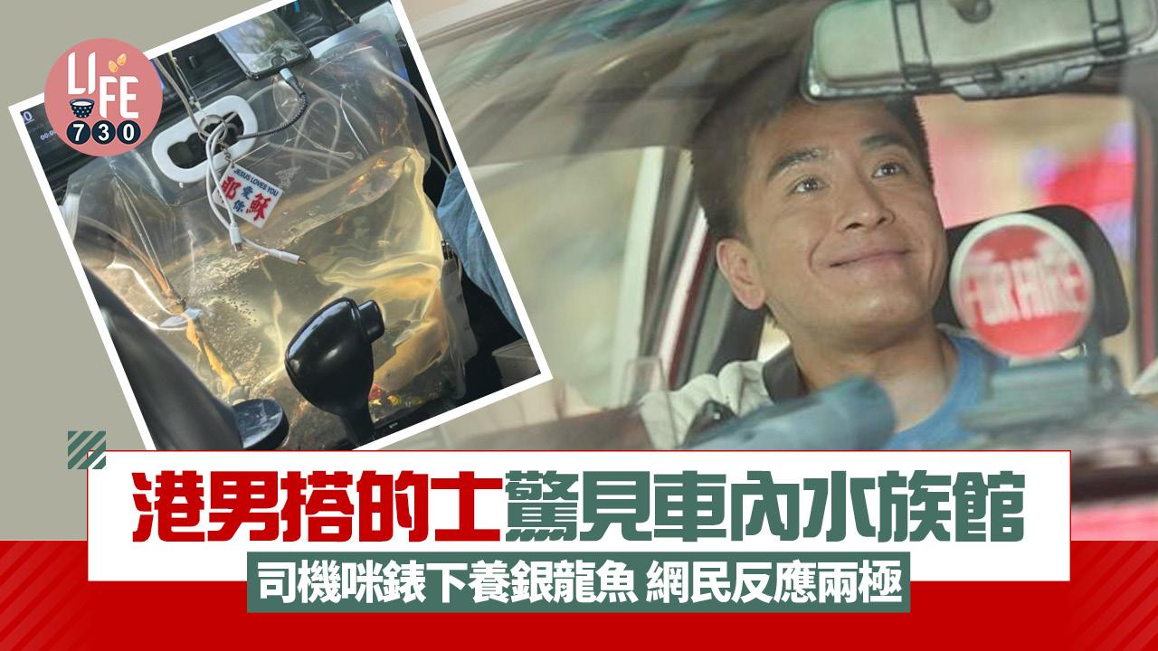 港男搭的士驚見車內水族館 司機咪錶下養銀龍魚 網民反應兩極