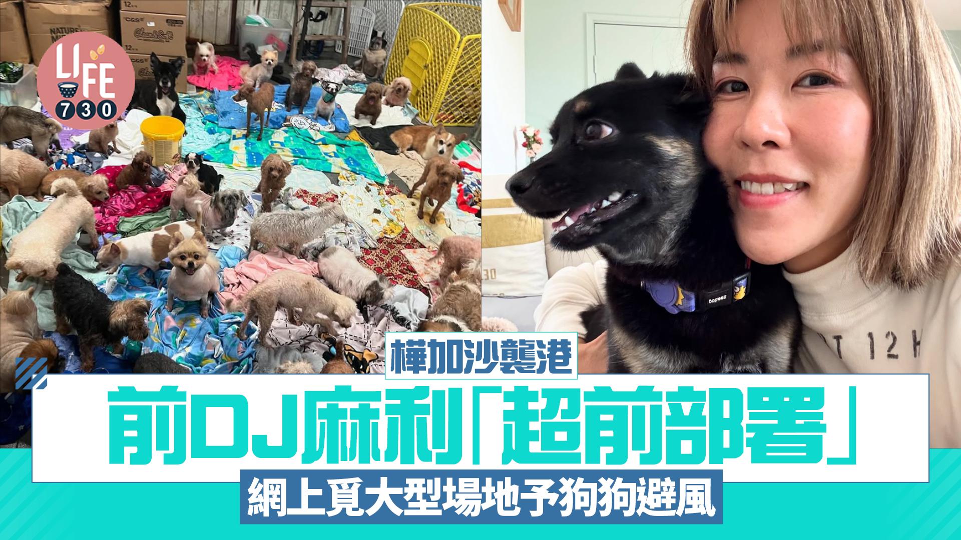颱風樺加沙｜前商台DJ麻利「超前部署」 threads上覓大型室內場予狗狗短住避風
