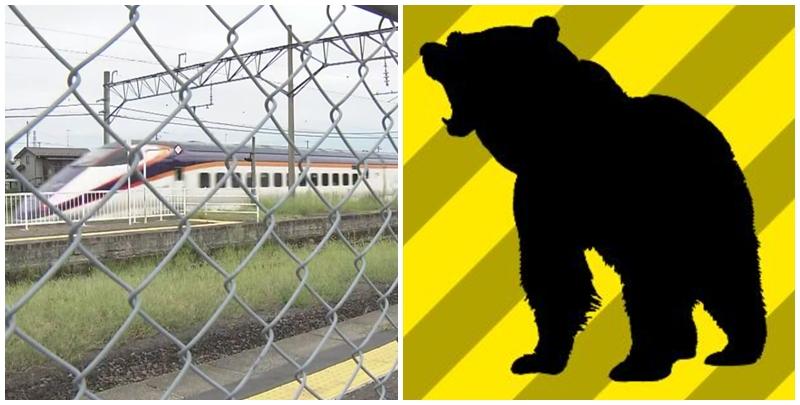 涉事的山形新幹線載有約160人，從山形開往東京，駛至米澤市至福島市的路段時撞到一隻熊