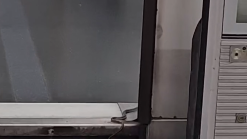 港鐵驚現蛇蹤(Threads影片截圖)