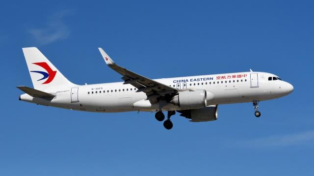 中國東方航空。(網上圖片)