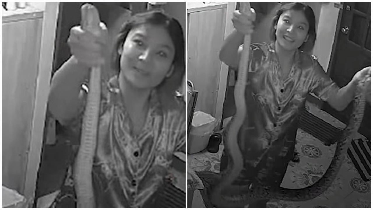 半夜驚見愛貓被蟒蛇纏住，女子睇片自學徒手捉蛇獲激讚。(FB)