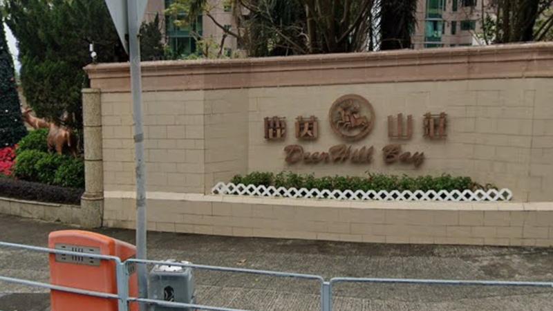 大埔獨立屋2隻共值50萬勞力士不翼而飛，51歲印傭被捕。(Google Map)