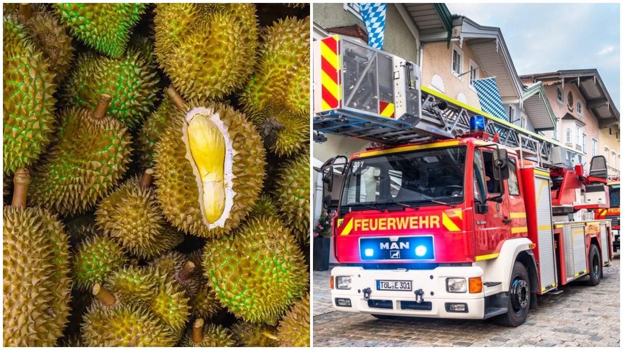 榴槤飄香似煤氣，消防一日出動4次。
