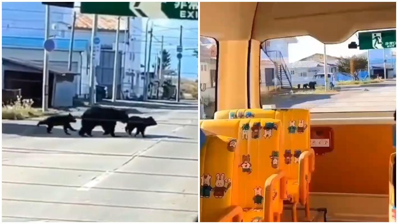 北海道住宅區3母子熊出沒嚇壞幼稚園生，專家警告熊或已不怕人類。(X)