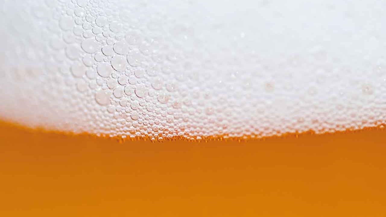 尿中有泡須重視！ 中醫「堵漏」截腎衰