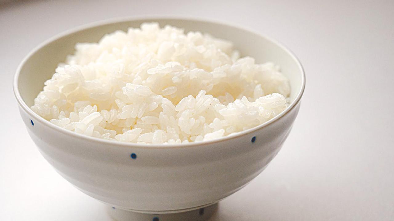 量食而為：從中華文化觀脾胃與食量之度