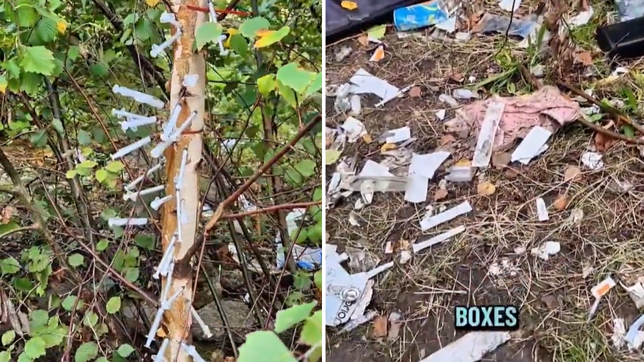 英驚現「針筒樹」插滿注射毒品針筒 社會爭論「合法注射中心」成效