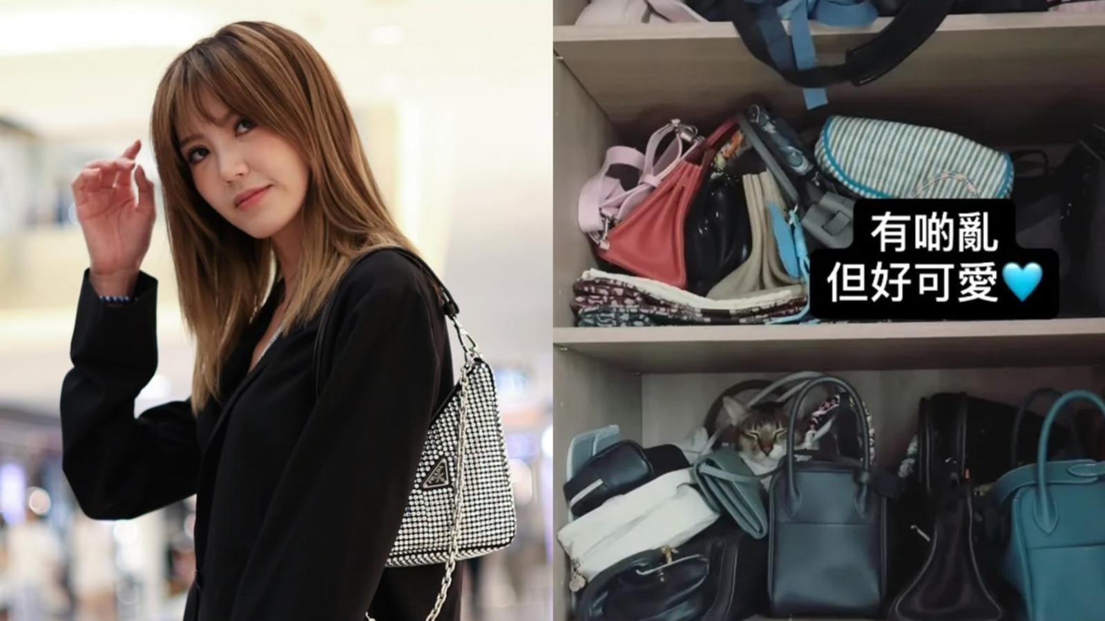 吳若希屋企收藏勁多名牌包 估計總值破百萬