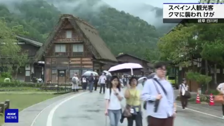 日本白川鄉合掌村驚爆黑熊襲擊遊客 西班牙男受傷送院